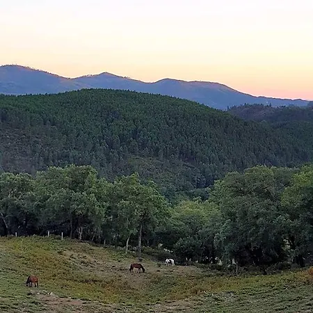 Casa D' Alem Turismo E Natureza - Refugio Do Valouto 호텔