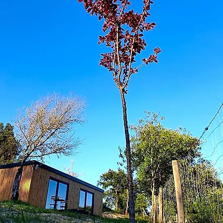 Casa D' Alem Turismo E Natureza - Refugio Do Valouto فندق